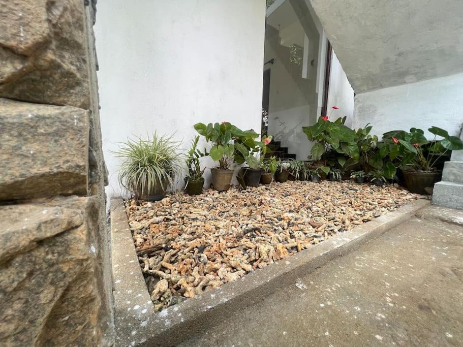 Plantation Inn Weligama Esterno foto